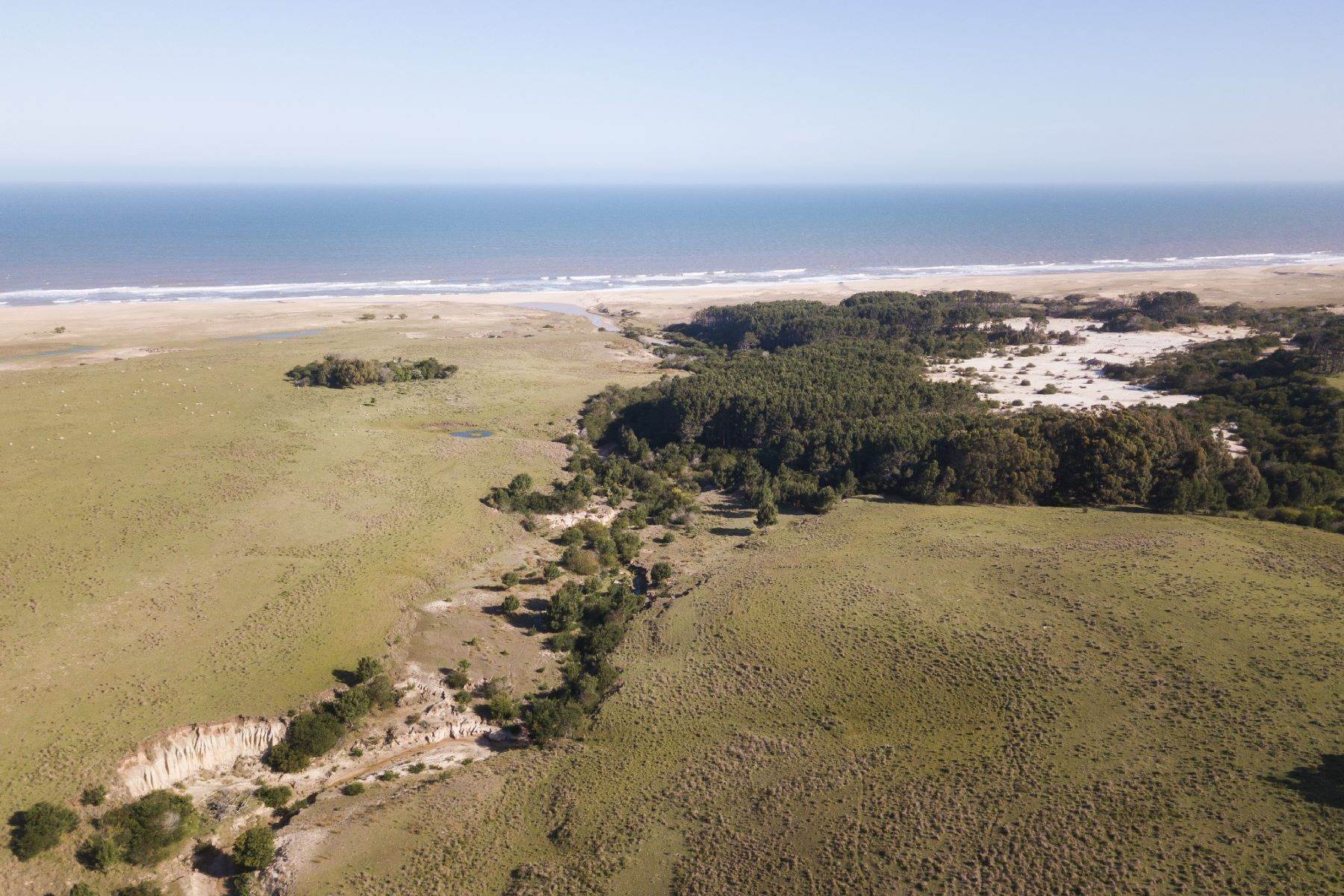 Farm and Ranch Properties for Sale at Oceanfront ranch Rocha, Rocha Uruguay