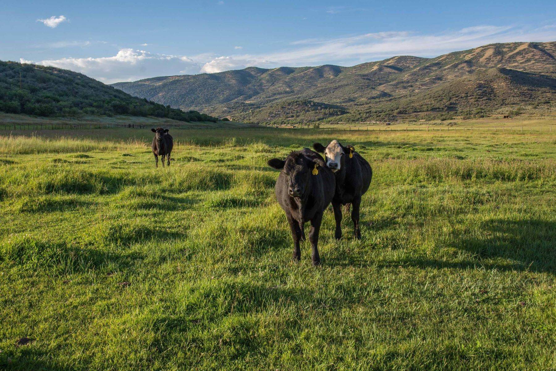 43. Farm and Ranch Properties at 1321 Elk Creek & TBD McCabe Ranch Old Snowmass, Colorado 81654 United States