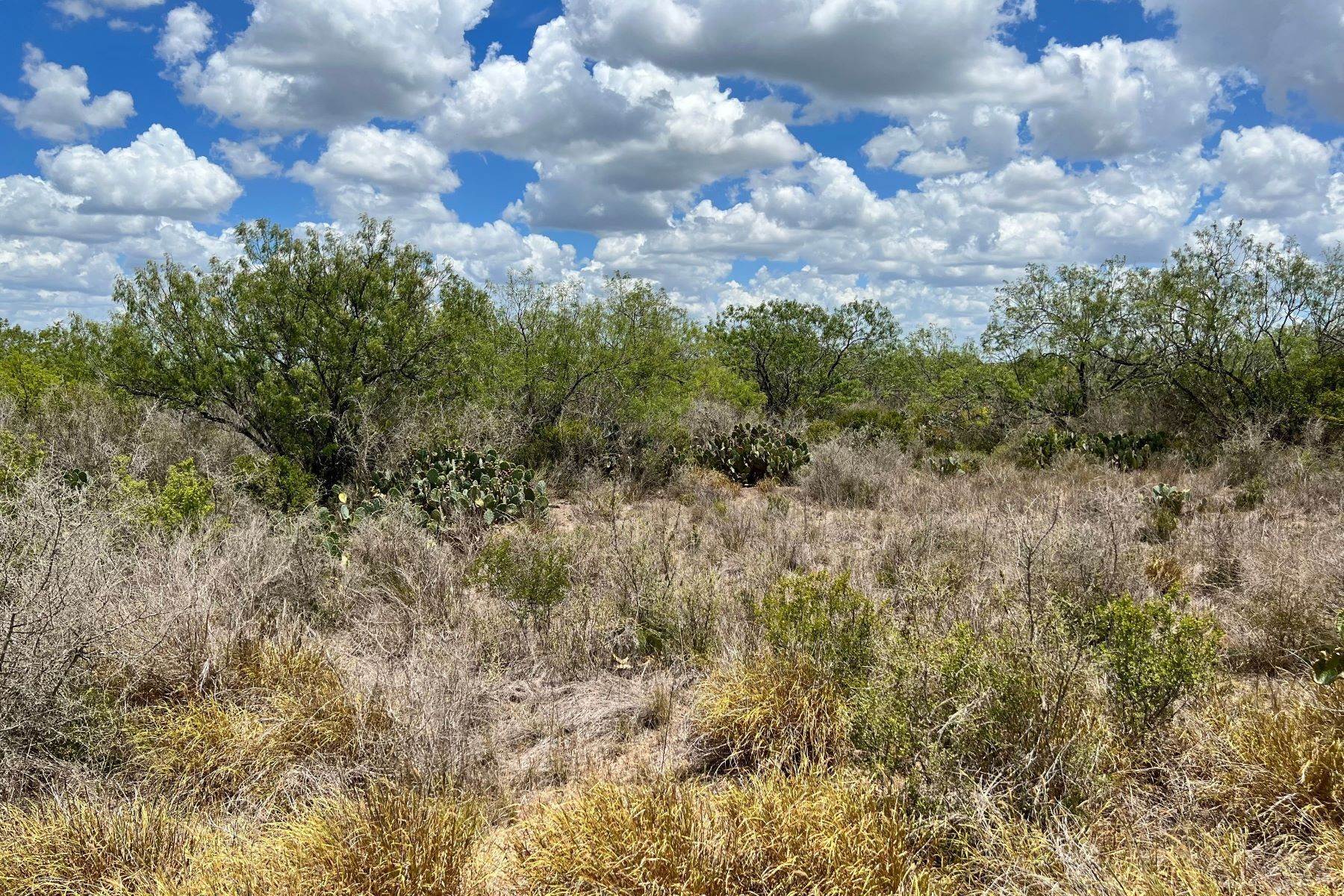 4. Farm and Ranch Properties 在 9,382+/- Acres Salarita Ranch, FM 624, Live Oak and Duval County George West, 得克萨斯州 78022 美国