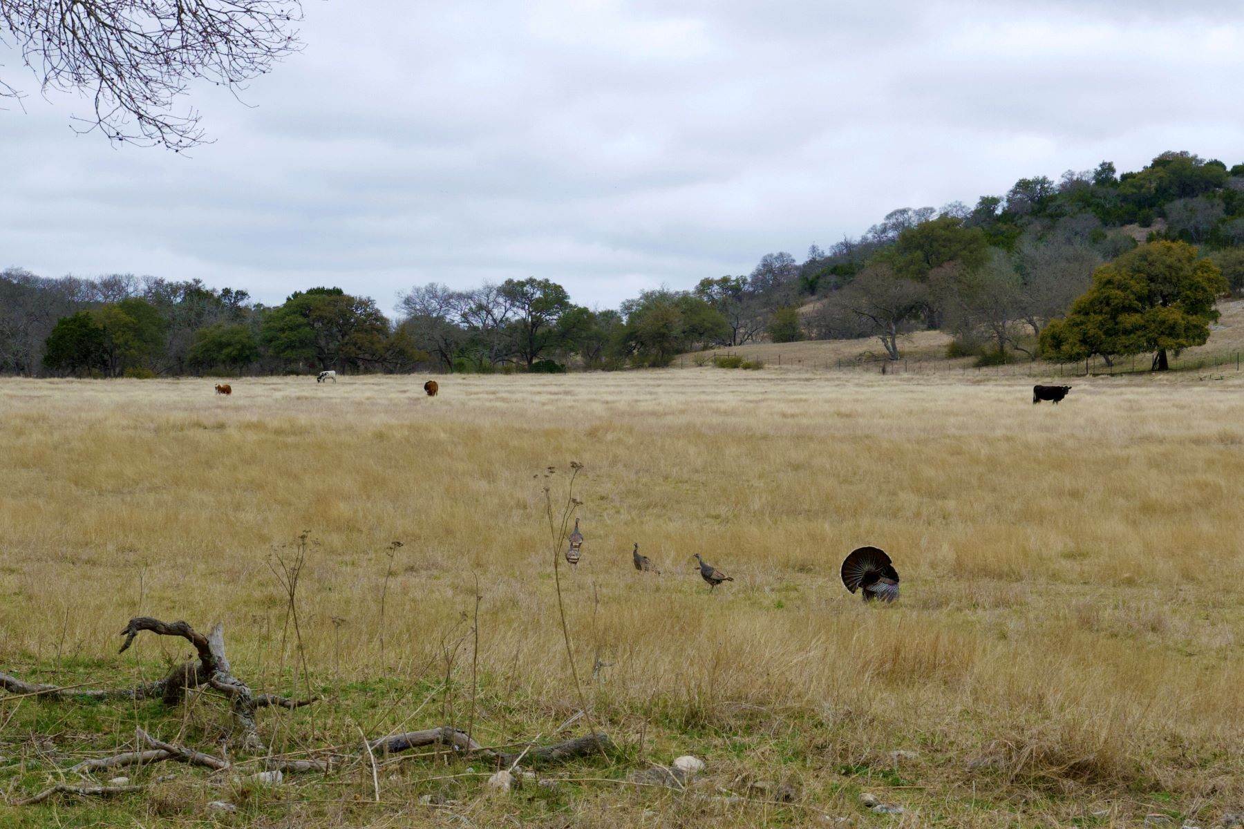 28. Farm and Ranch Properties at 2,269.85+/- Acres Less Ranch, Kendall County, 650 Wild Turkey Blvd. Boerne, Texas 78006 United States
