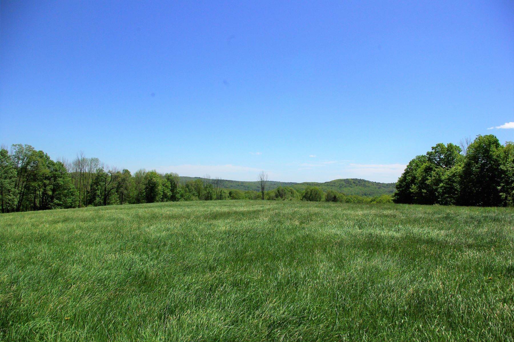 Land for Sale at Pastures, Fields, Stone Walls, Brook & Wooded Areas 132 Spencer Hill Road Winchester, Connecticut 06098 United States