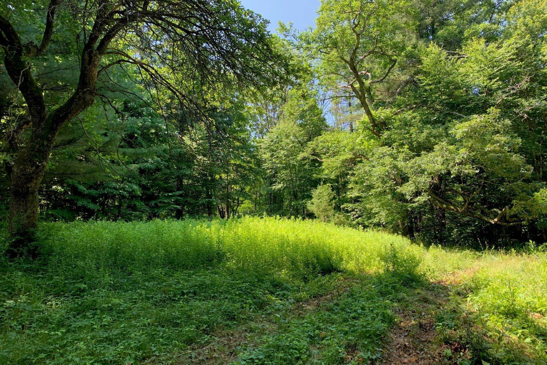 Land for Sale at 107 West Morris Road Washington, Connecticut 06794 United States